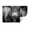 Schotse hooglander - Koe - Zwart - Wit - Dieren Muursticker klein -3d