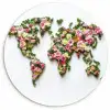 Wereldkaart - Kleurrijk - Bloemen - Lente Wandcirkel kunststof plaat 5mm dik klein -3d