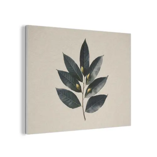Laurierbladeren - Bloemknoppen - subtiel PET vilt klein -3d