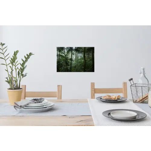 Regenwoud - Tropisch - Jungle - Bomen - Planten Muursticker klein -eettafel
