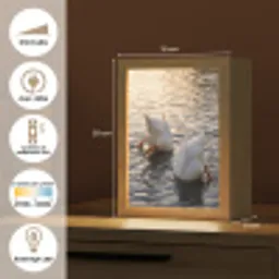 Eenden - Water - Natuur Light Box met kabel (Kinderlampje) klein -USP_FR
