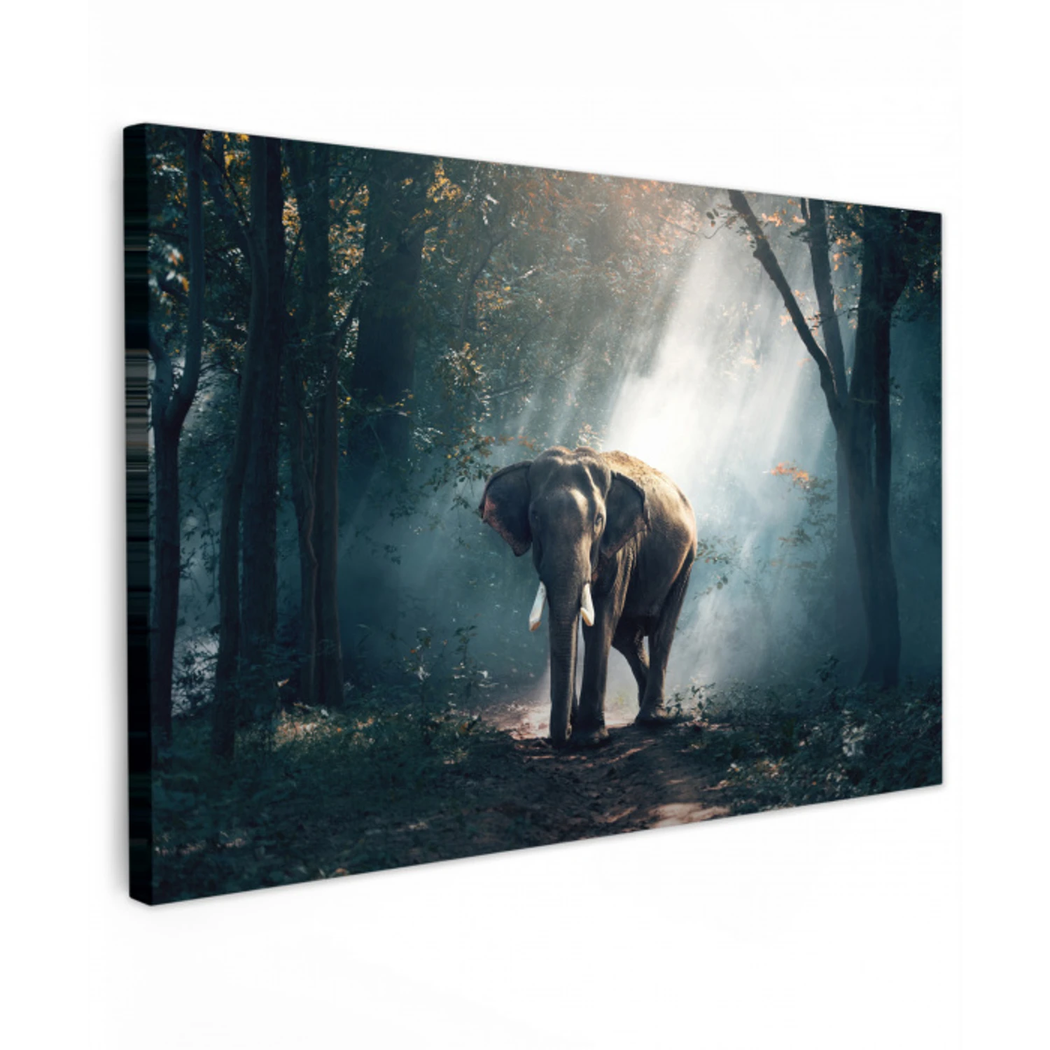 Olifant - Dieren - Licht - Bos - Natuur - Wilde dieren canvas 2cm klein -z3d