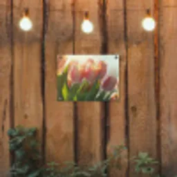 Tulpen - Roze - Zonnestralen tuinposter los doek klein -sfeer1