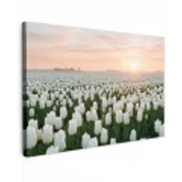 Tulpen - Landschap - Wit canvas 2cm klein -z3d