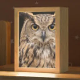 Oehoe - Uil - Portret - Bruin Light Box met kabel (Kinderlampje) klein -zzz_3d_website