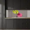 Planten - Anthurium - Groen - Roze keuken achterwand 2 middel -sfeer1