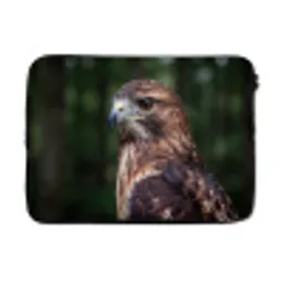 Buizerd - Roofvogel - Natuur - Bruin laptophoes neopreen klein -3d