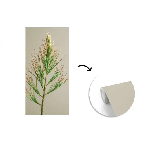 Dennentak - Naaldvormige bladeren - Lichtgroen fotobehang vinyl groot -3d