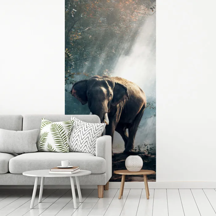 Olifant - Dieren - Licht - Bos - Natuur - Wilde dieren fotobehang vinyl groot -woonkamer