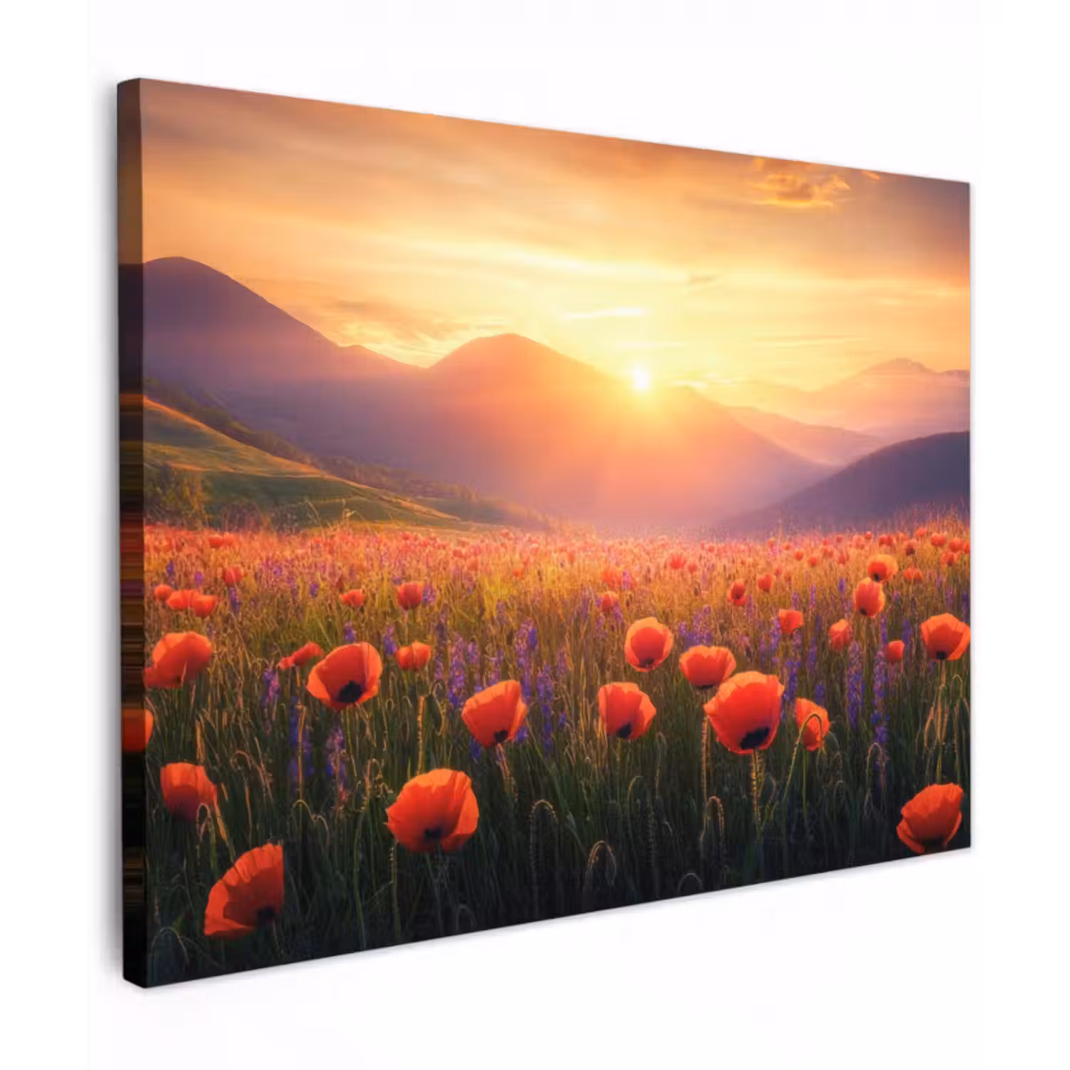 Leinwandbild - Landschaft - Sonnenuntergang - Blumenfeld