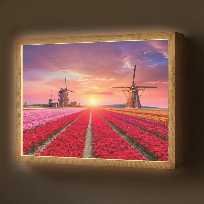 Bloemen - Tulpen - Bloemenveld - Molens - Holland Light Box met batterij (Wandlamp) middel -z3d_website