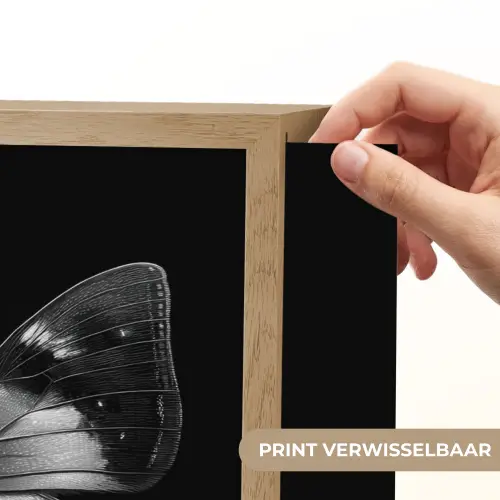 Vlinder - Grijs - Mysterieus Light Box met batterij (Wandlamp) middel -USP_websiteprintNL