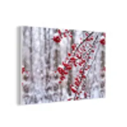 Bessen - Takken - Sneeuw - Winter - Kleurrijk forex 5mm xxl -3d