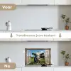 Doorkijk - Koe - Weiland - Dieren - Natuur keuken achterwand spatscherm klein -voor_na_NL