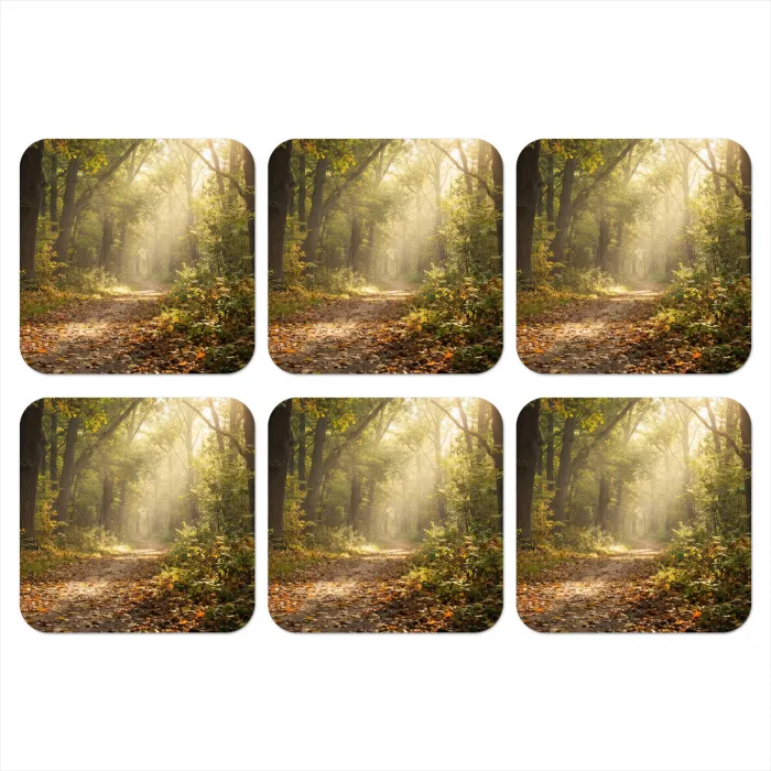 Zonlicht - Bospad - Bomen onderzetter kurk middel -3d