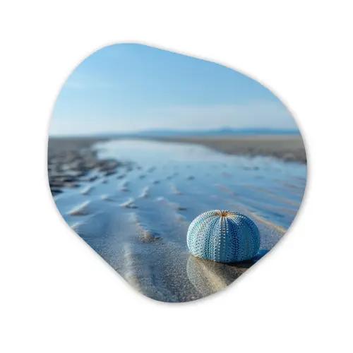 Strand - Schild - Water - Blauw Wandcirkel Organisch Aluminium middel -3d