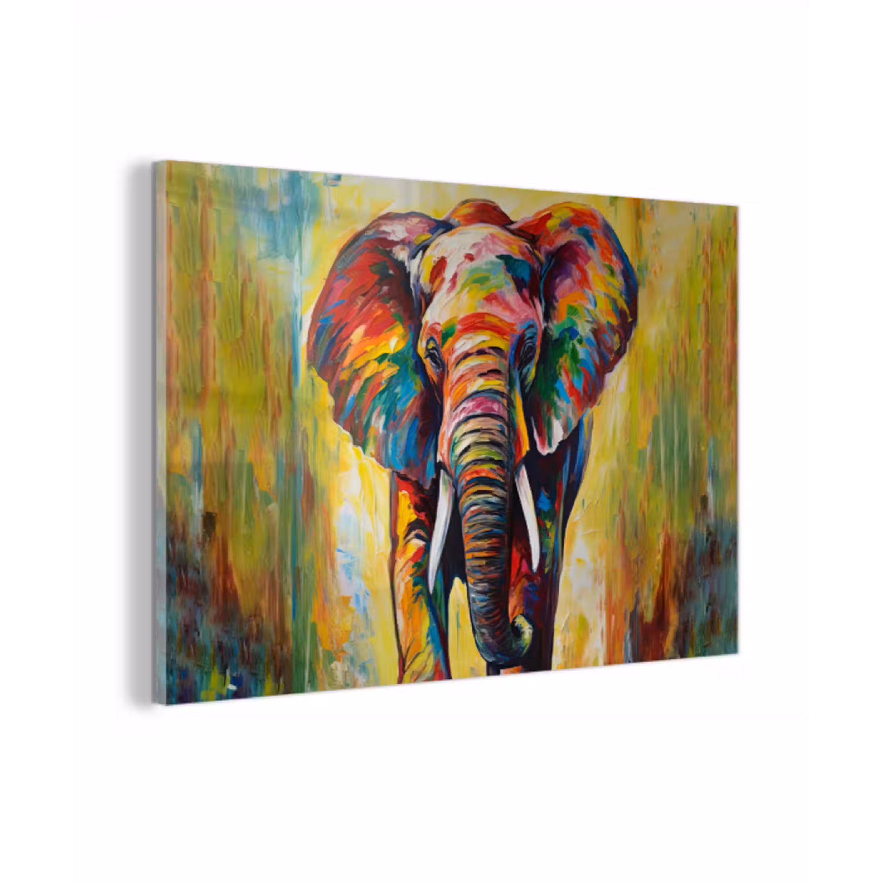 Olifant - Kunst - Schilderij - Dieren - Regenboog plexiglas 5mm klein -z3d
