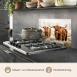 Schotse hooglander - Koe - Natuur - Winter keuken achterwand spatscherm klein -usp_DE