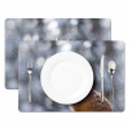 Vos - Sneeuwval - Portret - Winter - Sfeervol Placemat vinyl groot -zzsfeer2_Kitchenyeah-website