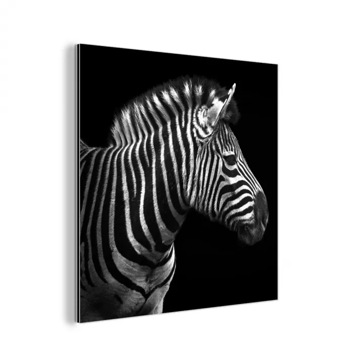 Zebra - Zwart - Wit - Portret - Dieren aluminium wit klein -3d