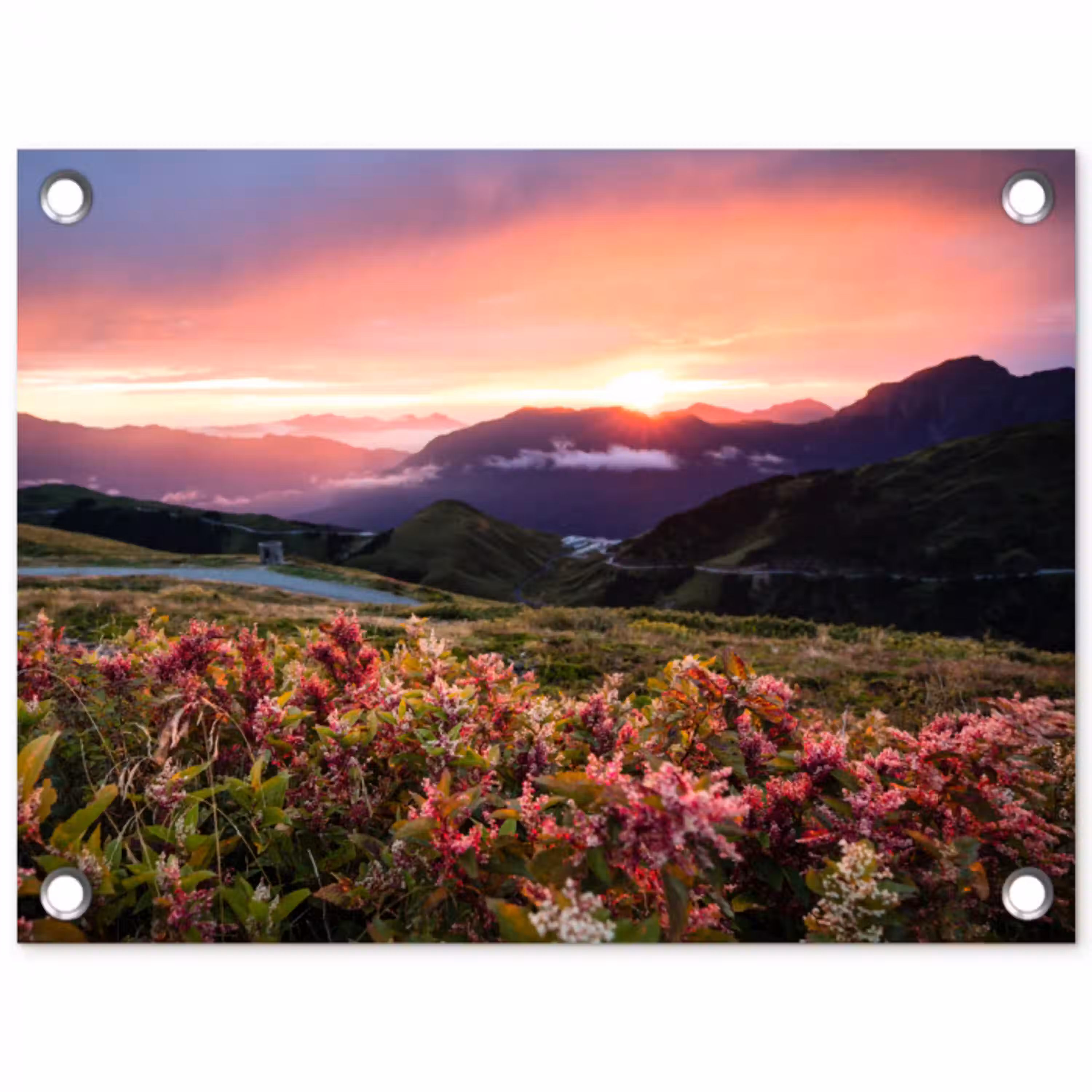 Bloemen - Bergen - Landschap - Nacht - Lucht - Roze tuinposter los doek klein -3d