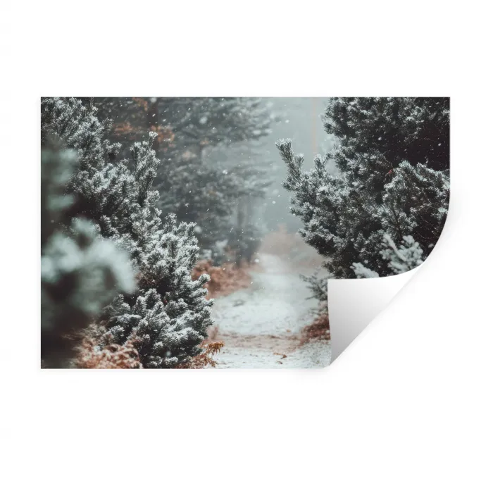 Bos - Winter - Bomen - Natuur - Pad - Sneeuw Muursticker klein -3d