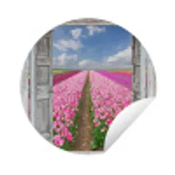 Bloemen - Tulpen - Doorkijk - Regenboog Wandcirkel tuinposter met ringen klein -3d