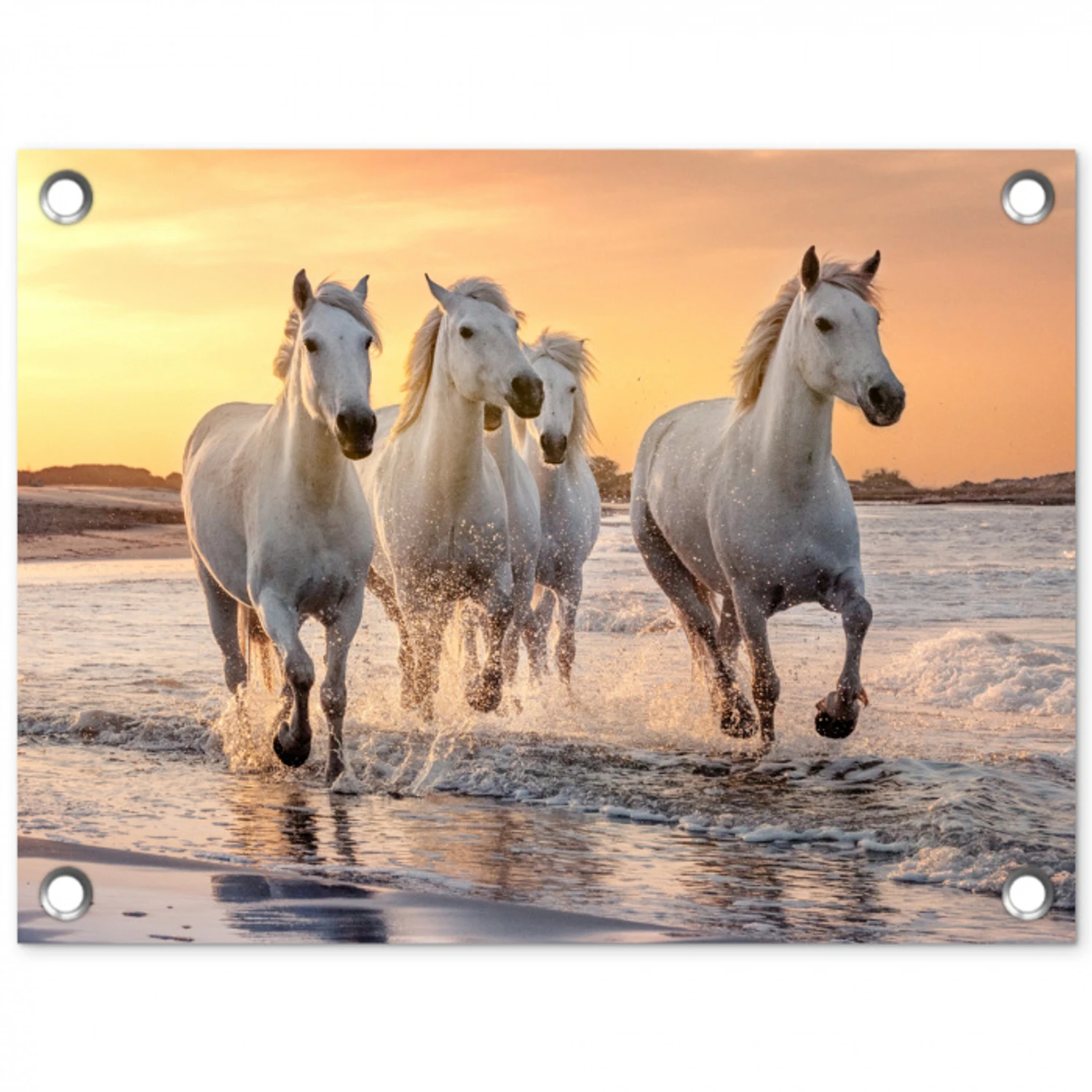 Witte paarden galopperen langs de kust tuinposter los doek klein -3d