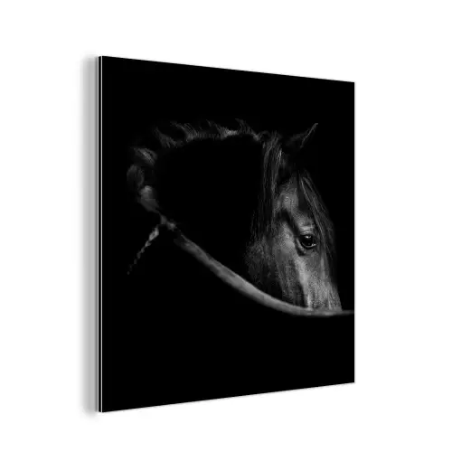 Paarden - Portret - Zwart - Dieren aluminium wit klein -3d