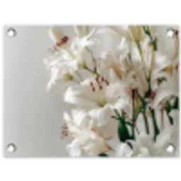 Lelies - Boekte - Wit - Meeldraden tuinposter los doek klein -3d
