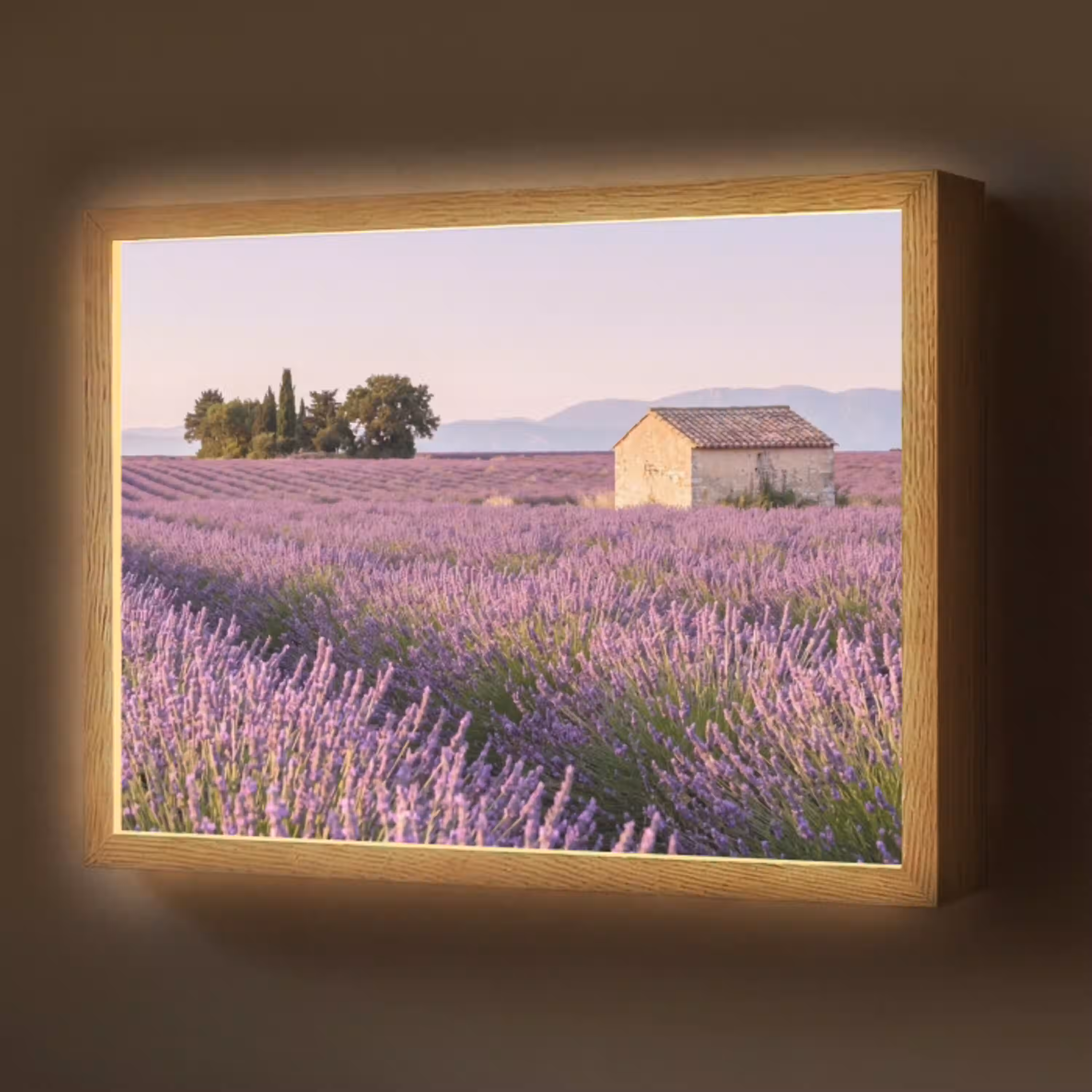 Lavendel - Landschap - Sereen - Paars Light Box met batterij (Wandlamp) middel -z3d_website