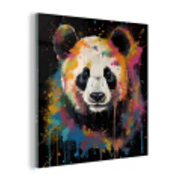 Panda - Graffiti - Dieren - Zwart - Kleuren plexiglas 5mm klein -z3d