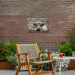 Schotse hooglander - Zwart - Wit - Hout Tuinposter op houten frame 2 cm dik klein -sfeer3