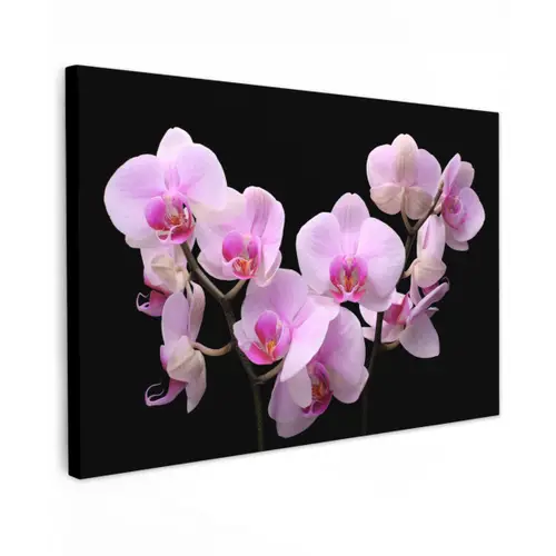 Orchidee - Bloemen - Roze - Flora Tuinposter op houten frame 2 cm dik klein -3d