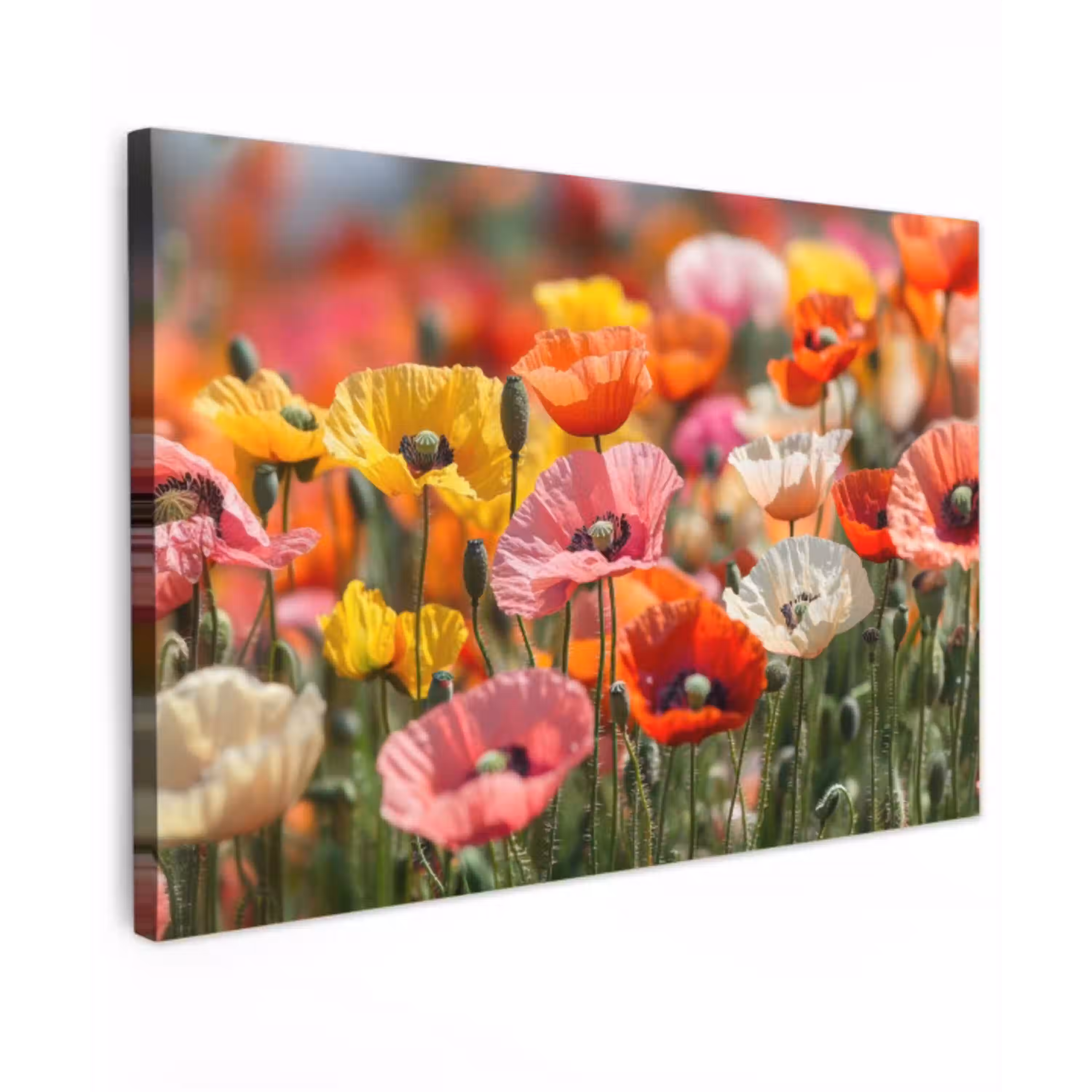 Bloemenveld - Klaprozen - Kleurrijk Tuinposter op houten frame 2 cm dik klein -3d