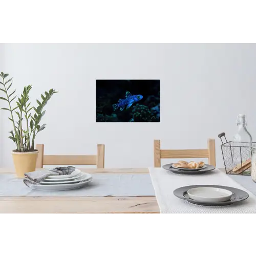 Vis - Stippen - Koraal - Blauw Muursticker klein -eettafel