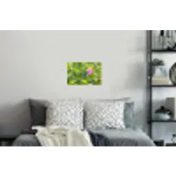 Kolibrie - Bloem - Natuur - Groen Muursticker klein -slaapkamer