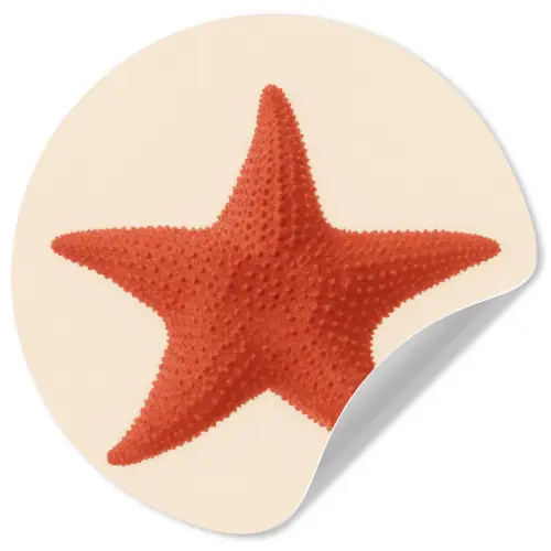 Zeester - Bobbels - Rood Wandcirkel behangsticker klein -3d