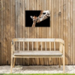 Giraffe - Dieren - Zwart - Portret - Dieren Tuinposter op houten frame 2 cm dik klein -sfeer4