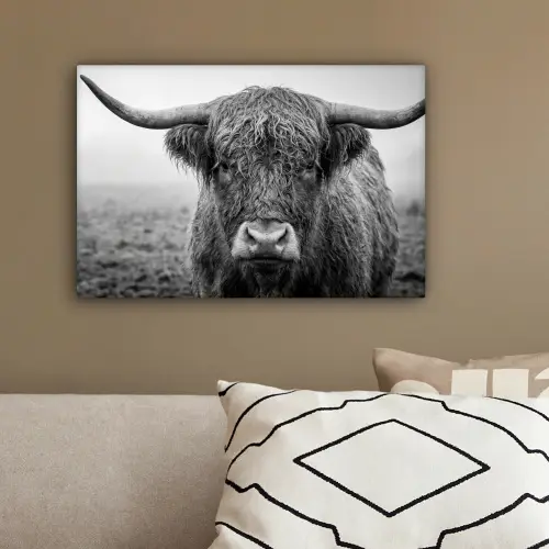 Schotse hooglander - Zwart - Wit - Gras canvas 2cm klein -sfeer3
