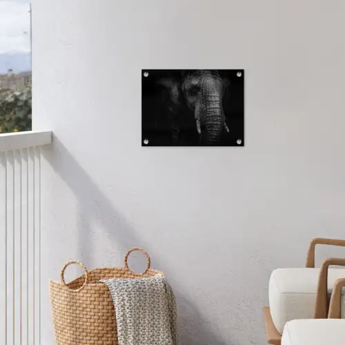 Olifant - Dier - Portret tuinposter los doek klein -sfeer8