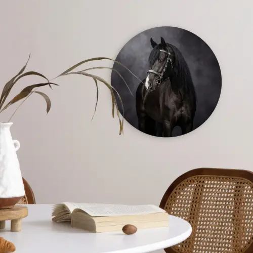 Portret - Paard - Zwart Wandcirkel kunststof plaat 5mm dik klein -sfeer4