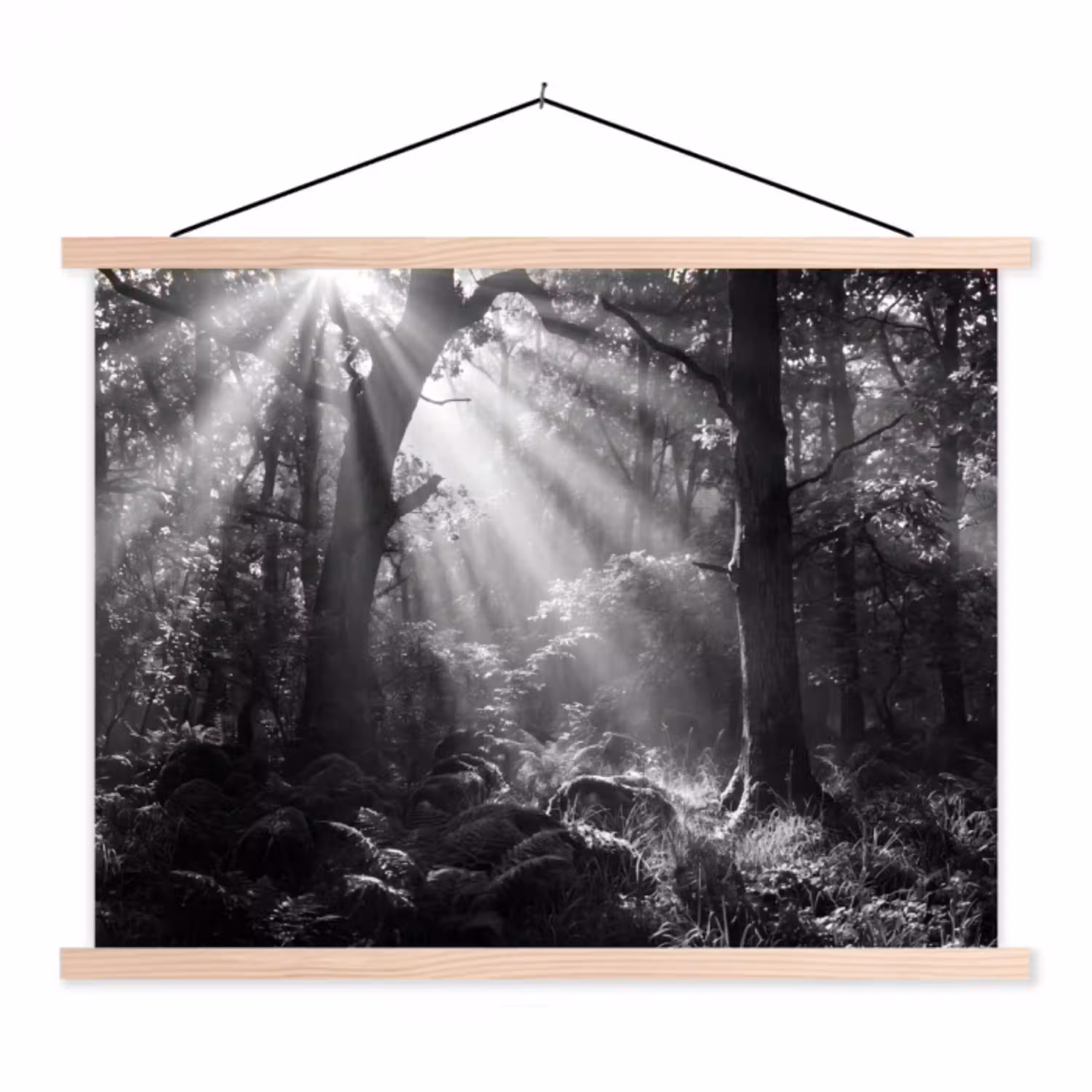 Bos - Lichtstralen - Natuur - Zwart-wit textielposter latten blank klein -3d