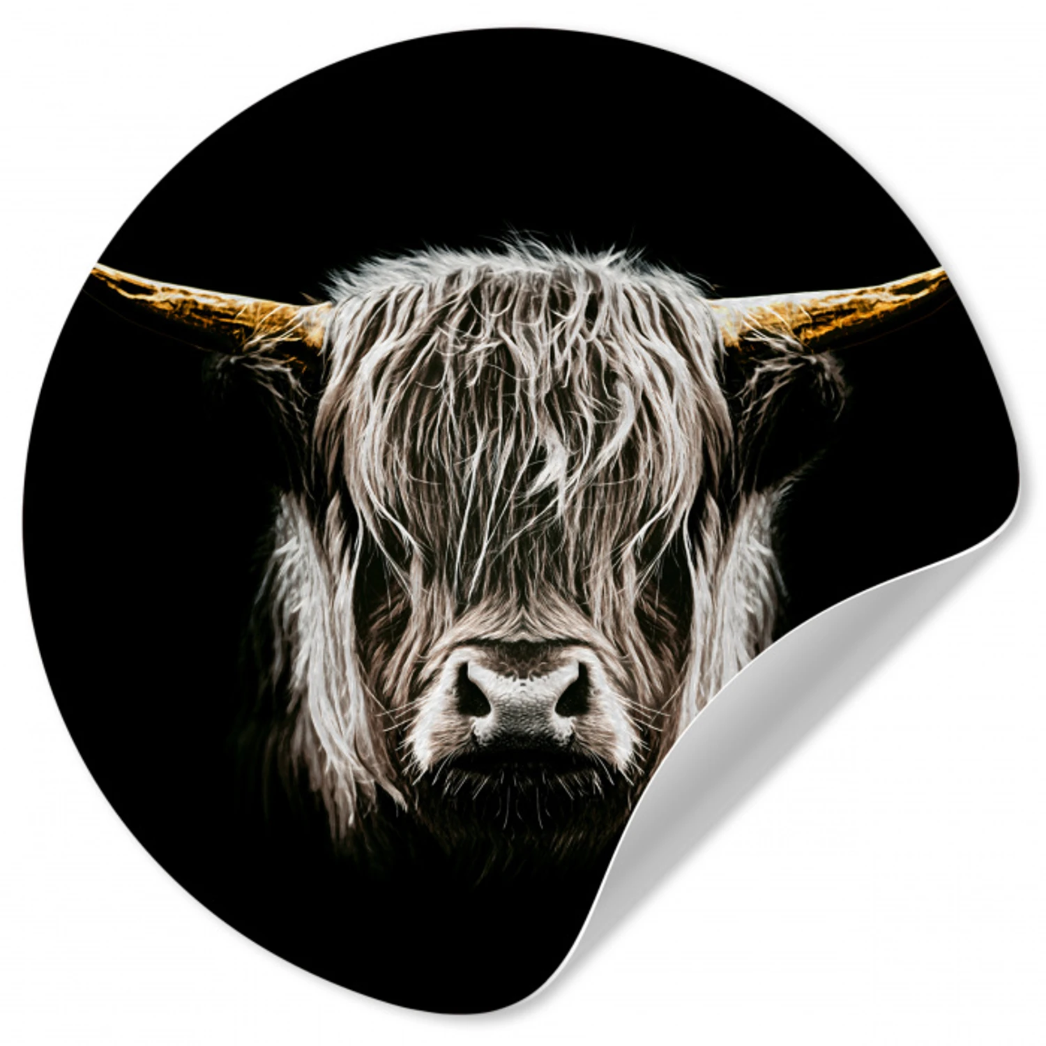 Schotse hooglander - Goud - Hoorns - Zwart wit - Koe - Dieren Wandcirkel behangsticker klein -3d