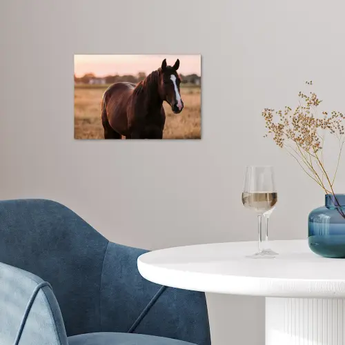 Paard - Zonsondergang - Bruin poster papier klein -sfeer3