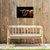 Schotse Hooglander - Horens - Zwart - Dieren - Natuur - Wild - Koe Tuinposter op houten frame 2 cm dik klein -sfeer4