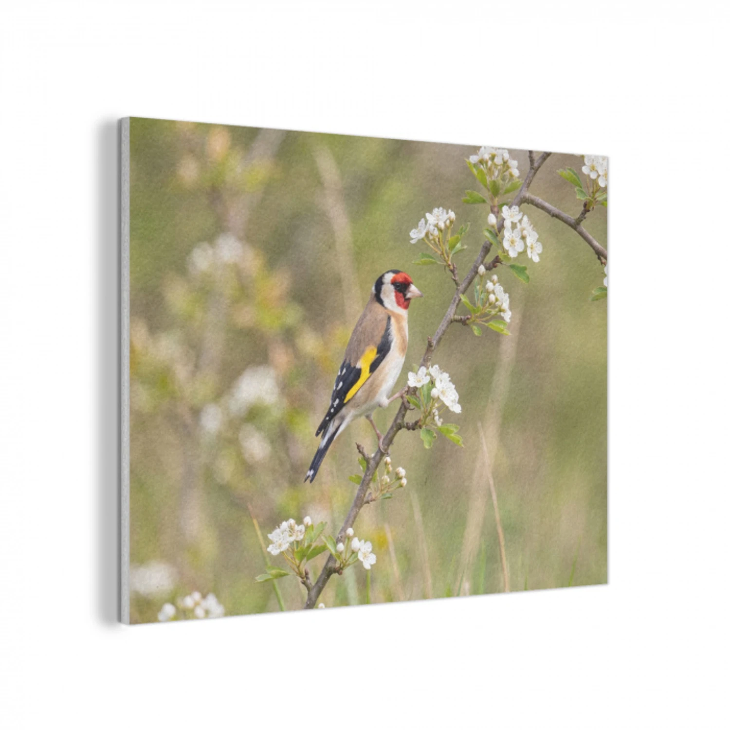 Putter - Bloesem - Lente - Natuur - Kleurrijk PET vilt klein -3d