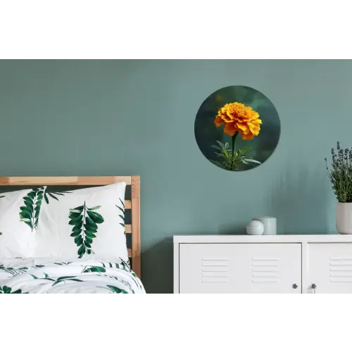 Bloemblaadjes - Afrikaan - Oranje - Wazig Wandcirkel aluminium klein -slaapkamer