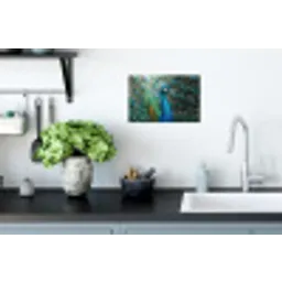 Pauw - Veren - Blauw Muursticker klein -keuken