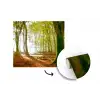 Bos - Zon - Seizoenen - Landschap fotobehang vinyl groot -3d
